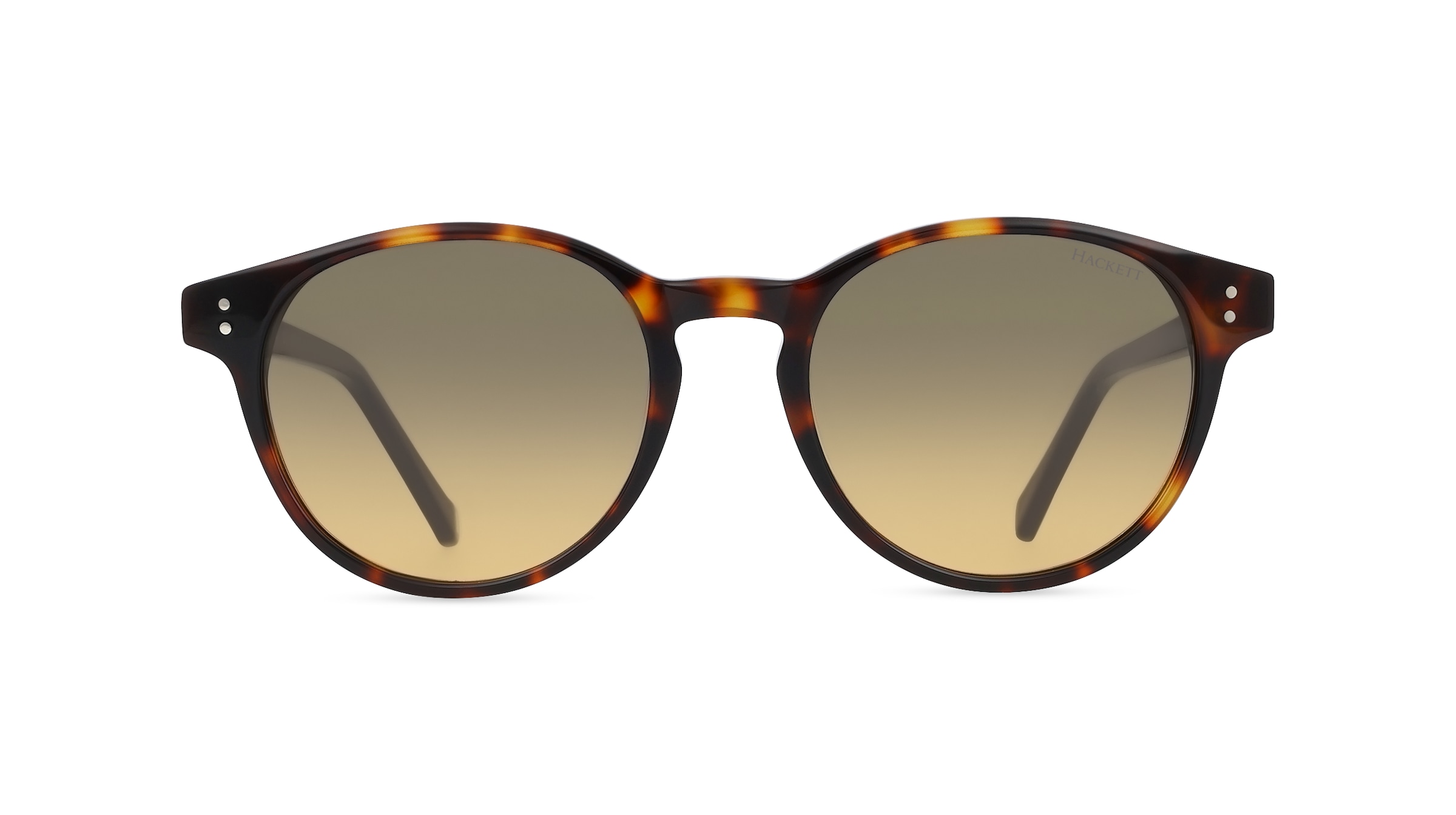 HacketT HE 920 Herren-Sonnenbrille Vollrand Panto Kunststoff-Gestell, braun