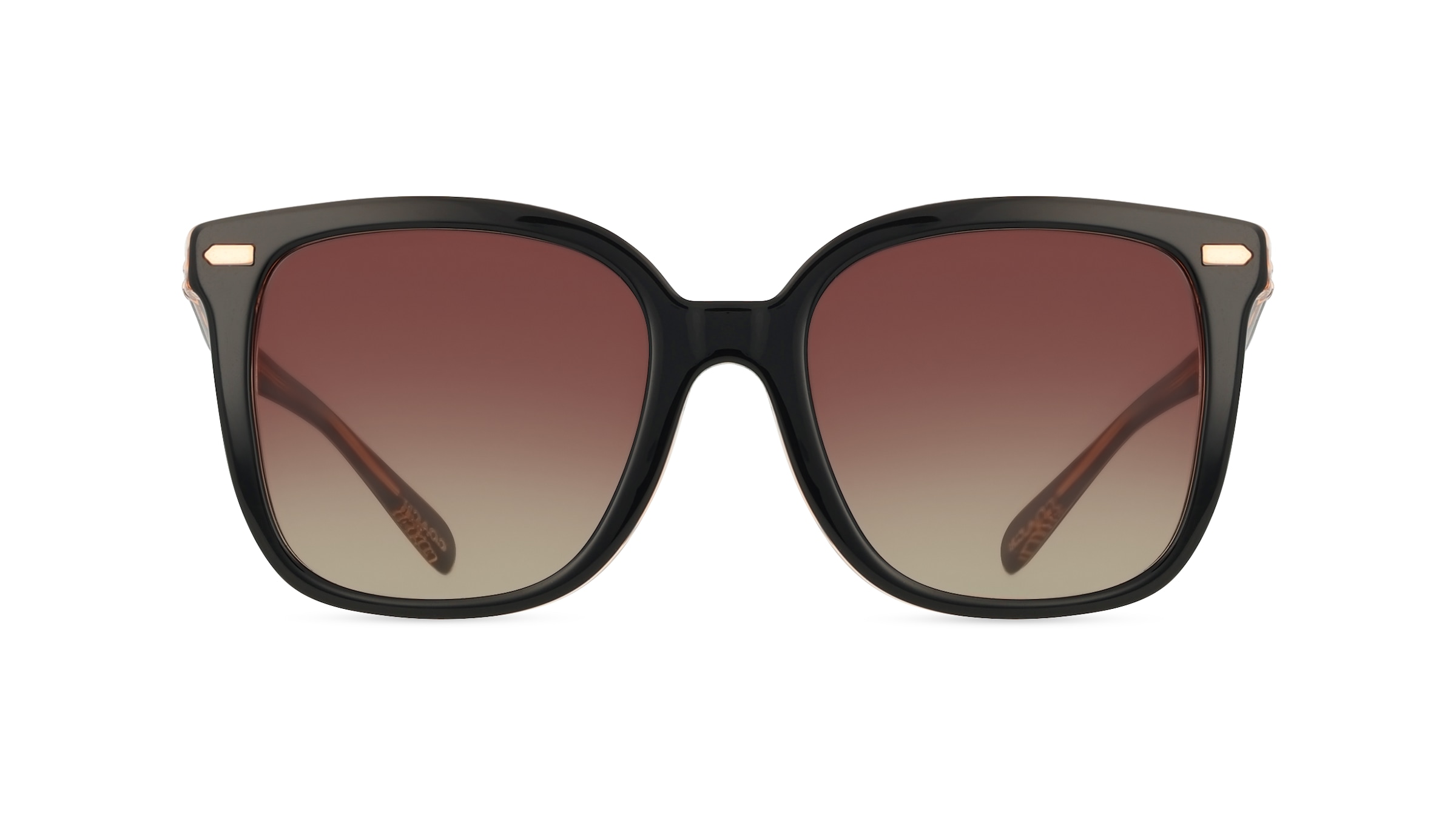 Coach HC8381U Damen-Sonnenbrille Vollrand Eckig Acetat-Gestell, schwarz