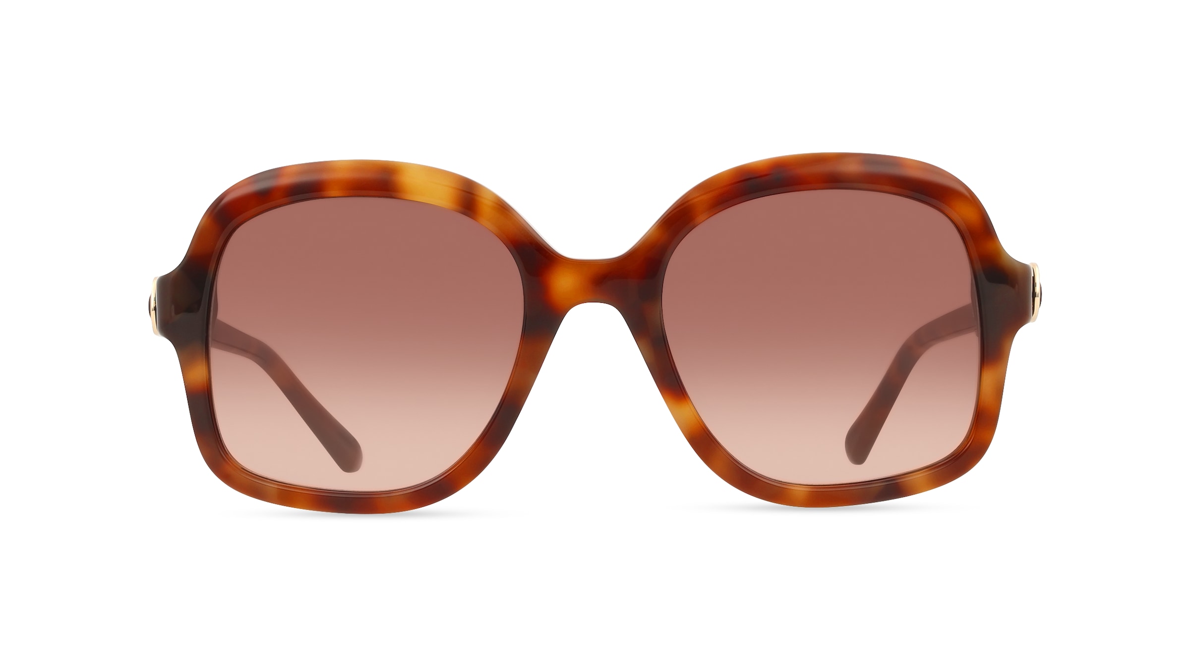 Sandro SA6074 Damen-Sonnenbrille Vollrand Quadratisch Acetat-Gestell, braun