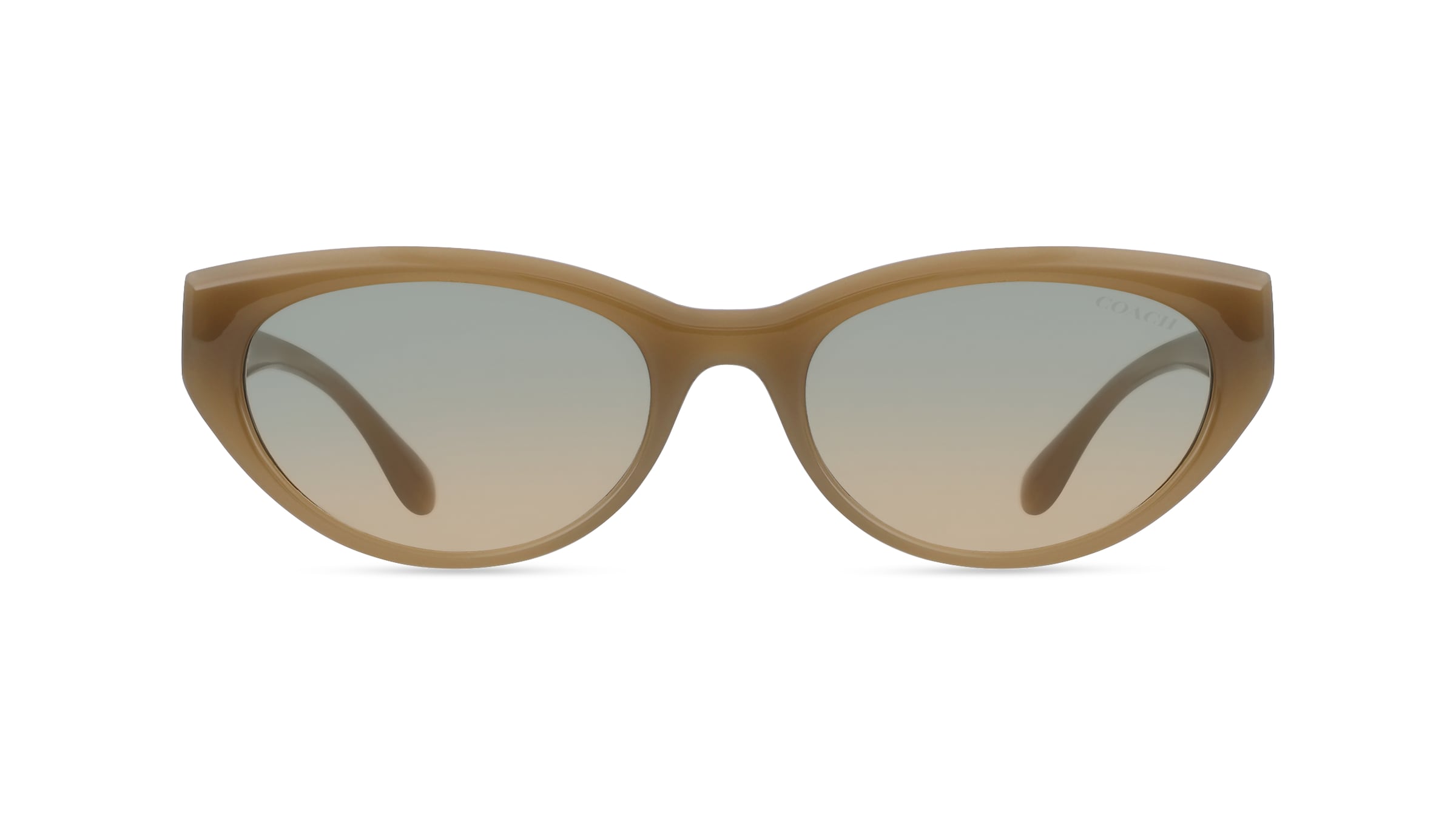 Coach HC8456D CDP42 Damen-Sonnenbrille Vollrand Quadratisch Kunststoff-Gestell, Beige