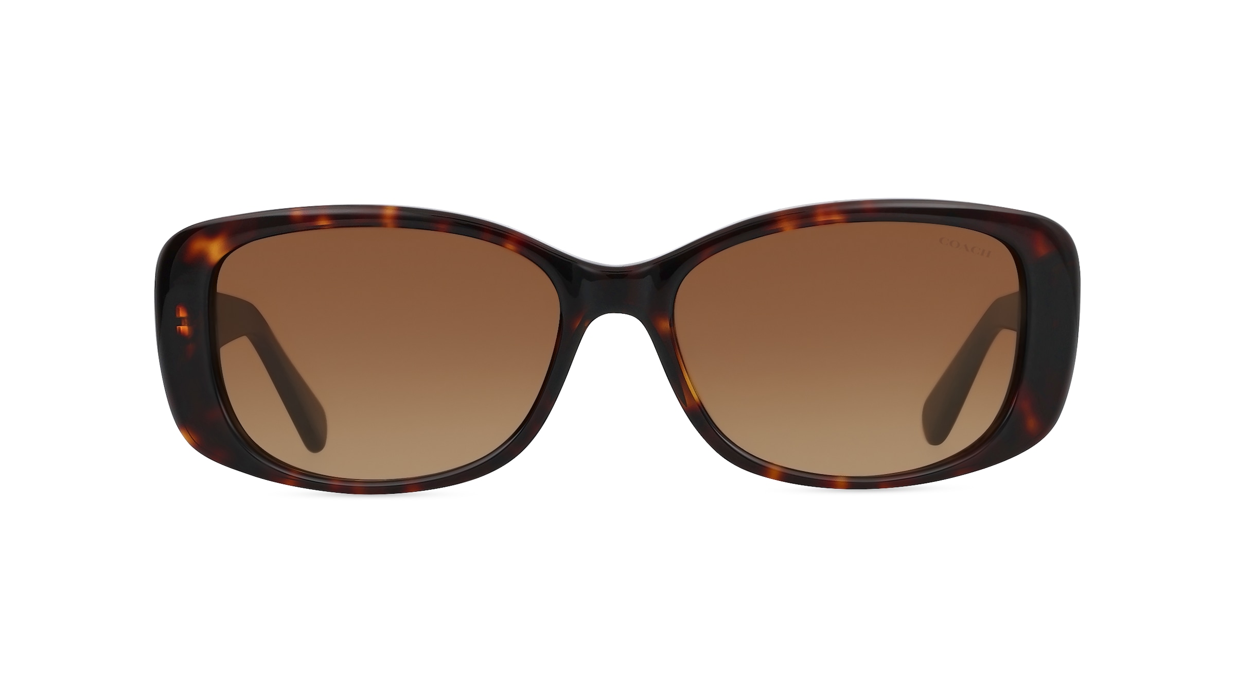 Coach HC8168 Damen-Sonnenbrille Vollrand Eckig Acetat-Gestell, braun