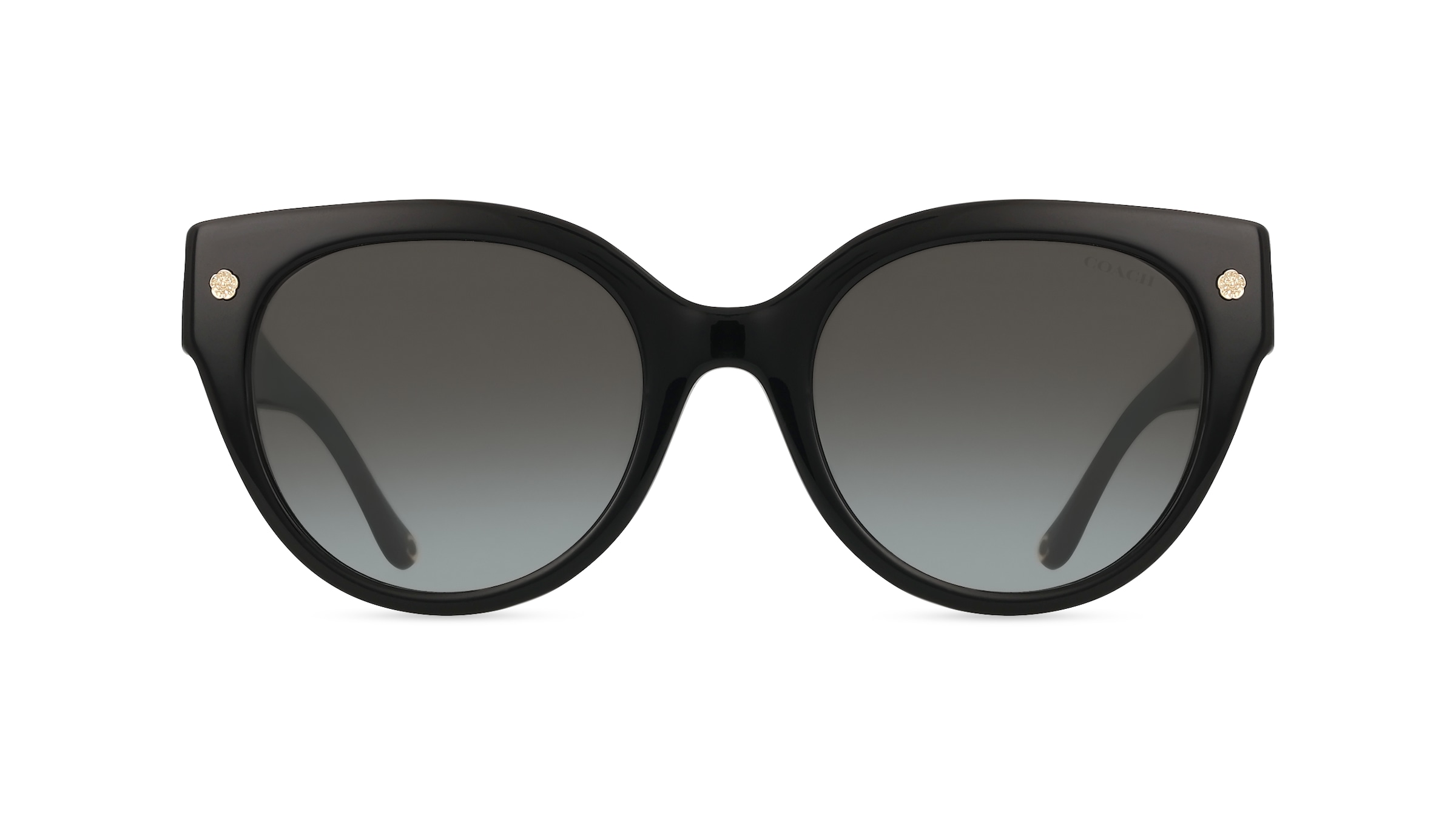 Coach 0HC8393U Damen-Sonnenbrille Vollrand Rund Acetat-Gestell, schwarz