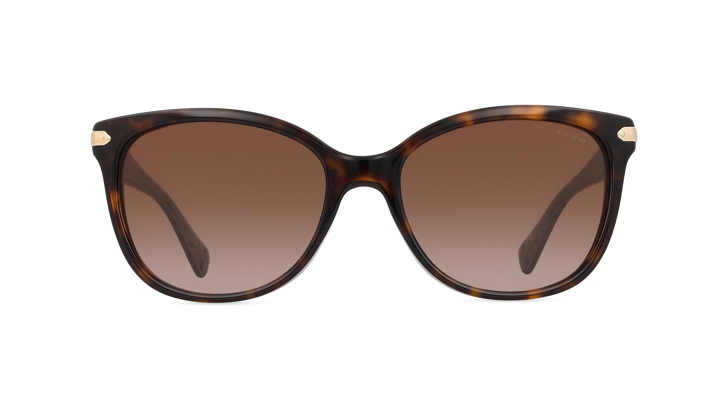 Coach HC8132 Damen-Sonnenbrille Vollrand Butterfly Acetat-Gestell, braun