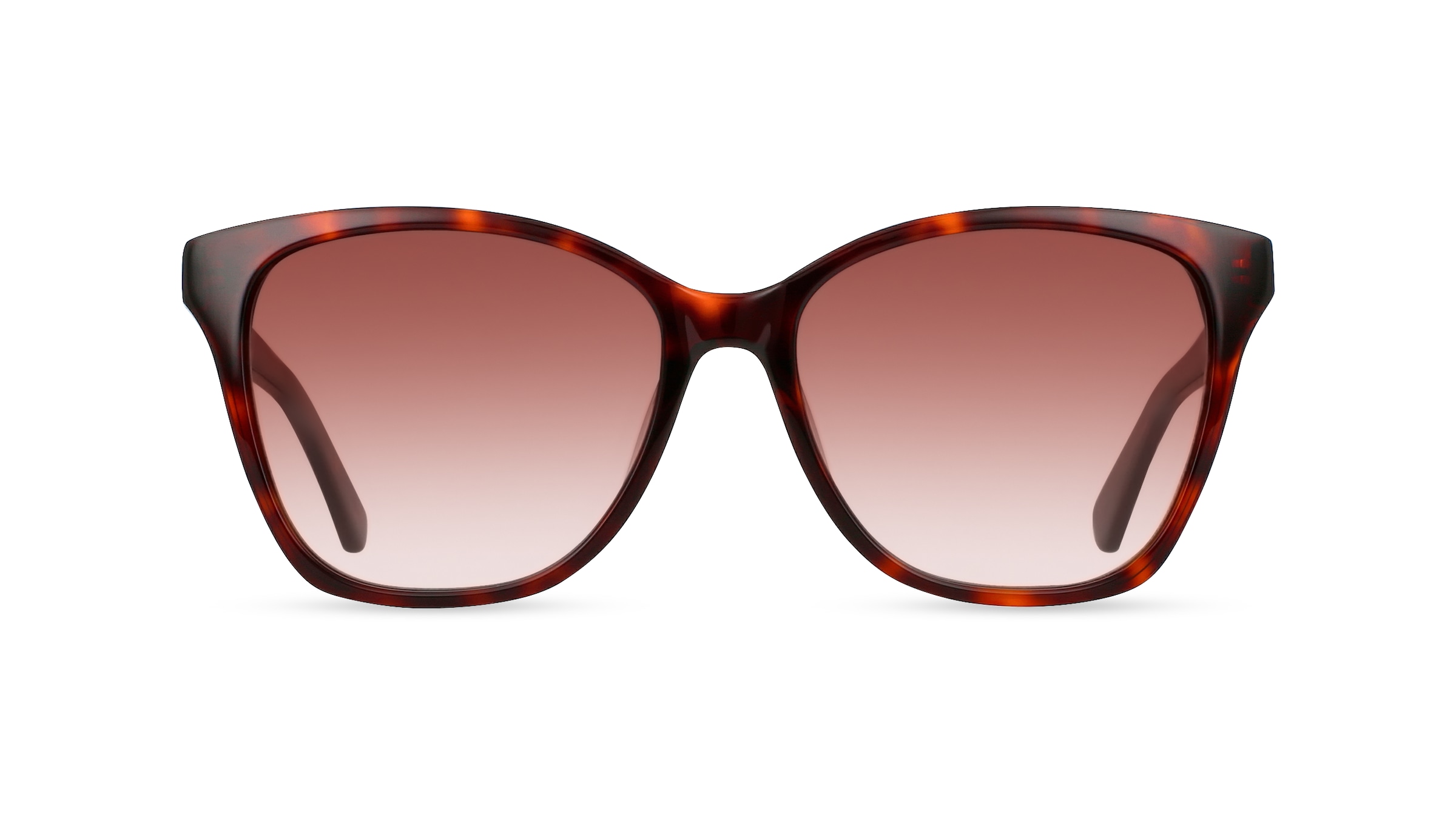 Calvin Klein CK 21529 S Damen-Sonnenbrille Vollrand Eckig Kunststoff-Gestell, braun