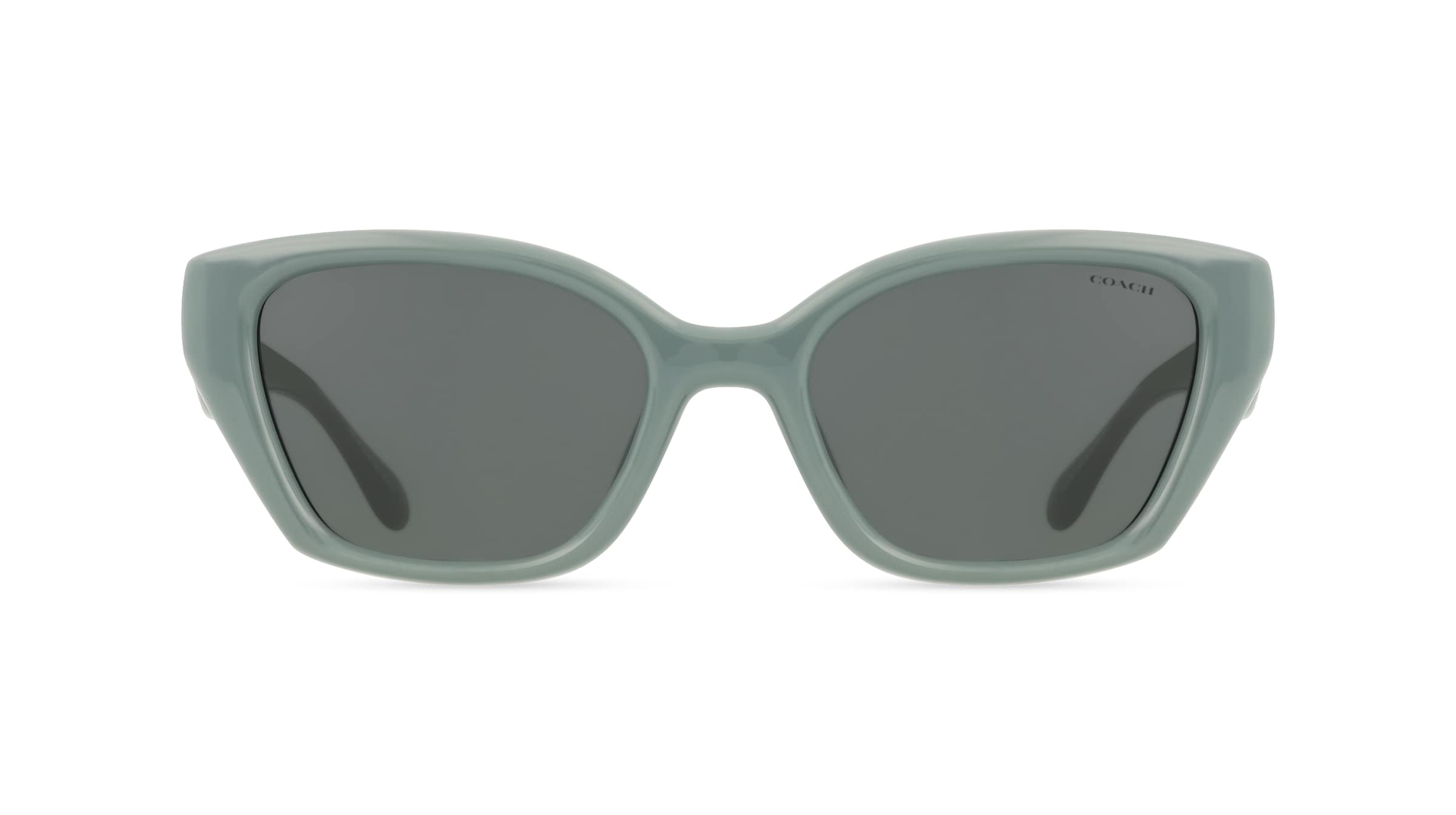 Coach 0HC8434U CBY91 Damen-Sonnenbrille Vollrand Quadratisch Kunststoff-Gestell, grau