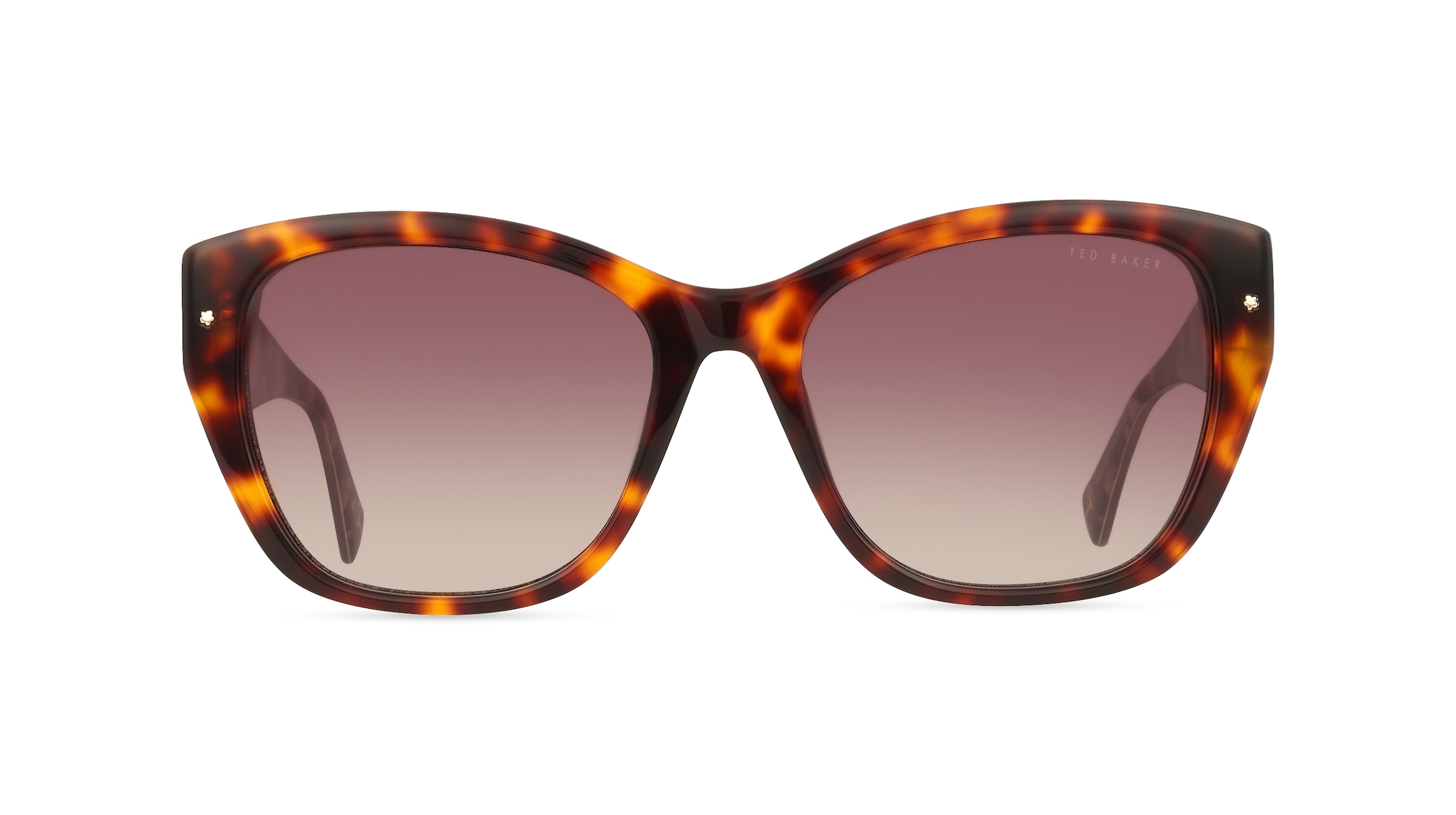 Ted Baker 1738 Damen-Sonnenbrille Vollrand Eckig Acetat-Gestell, braun