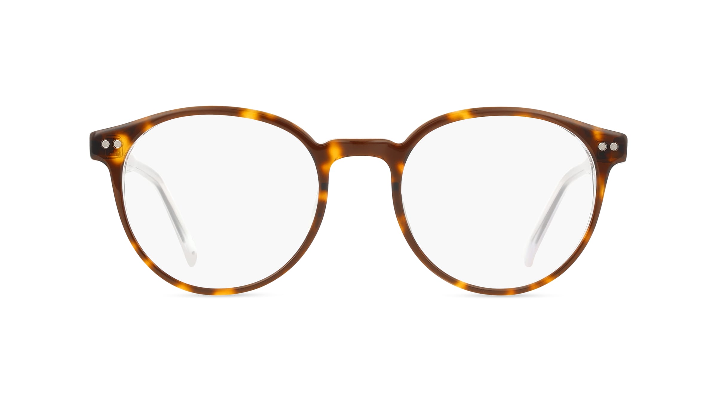 Sting STGVST425 Unisex-Brille inkl. Gläser Vollrand Panto Kunststoff-Gestell 50mm/19mm/145mm, braun