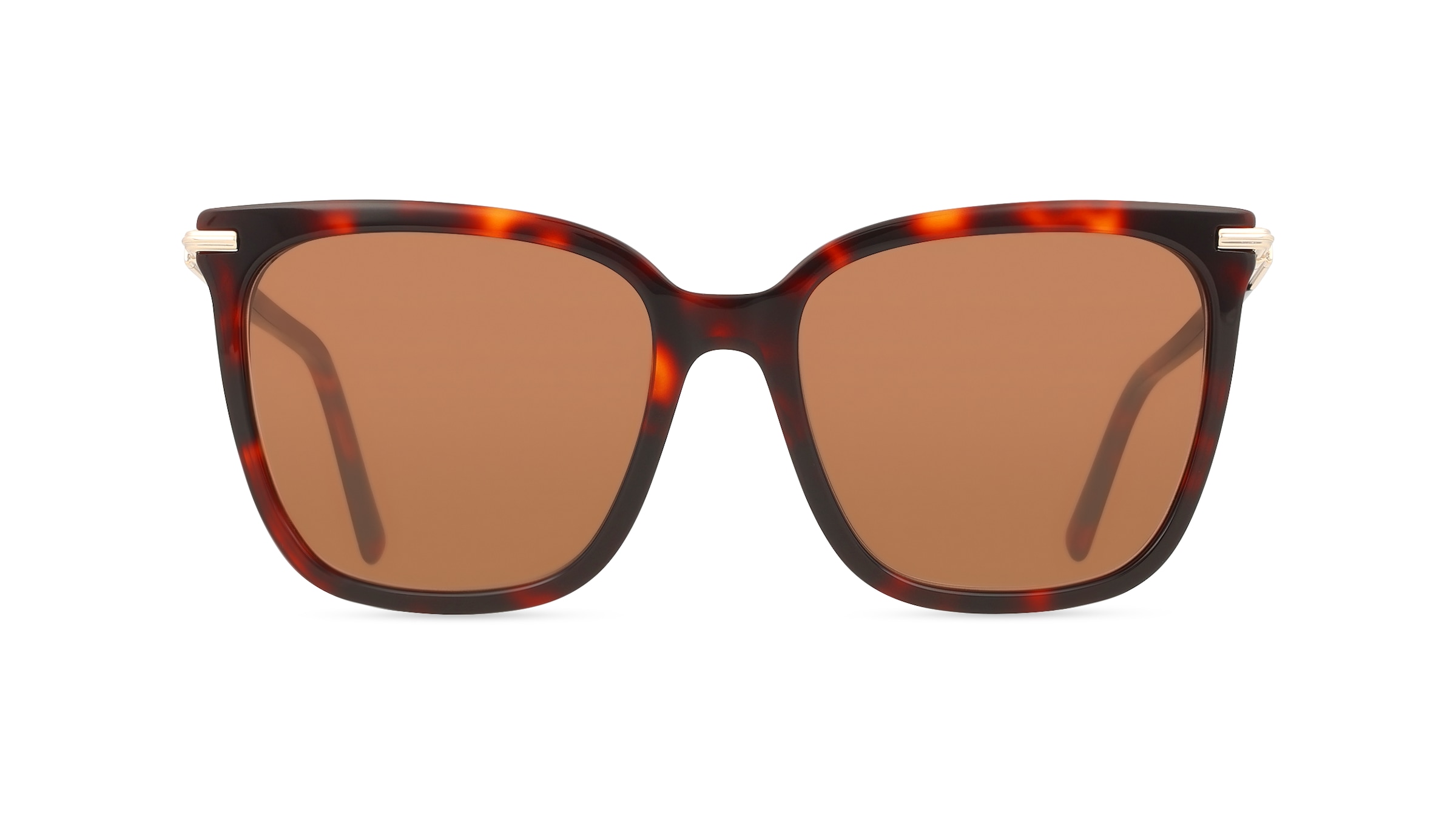 Ferragamo SF2037S Damen-Sonnenbrille Vollrand Butterfly Acetat-Gestell, rot