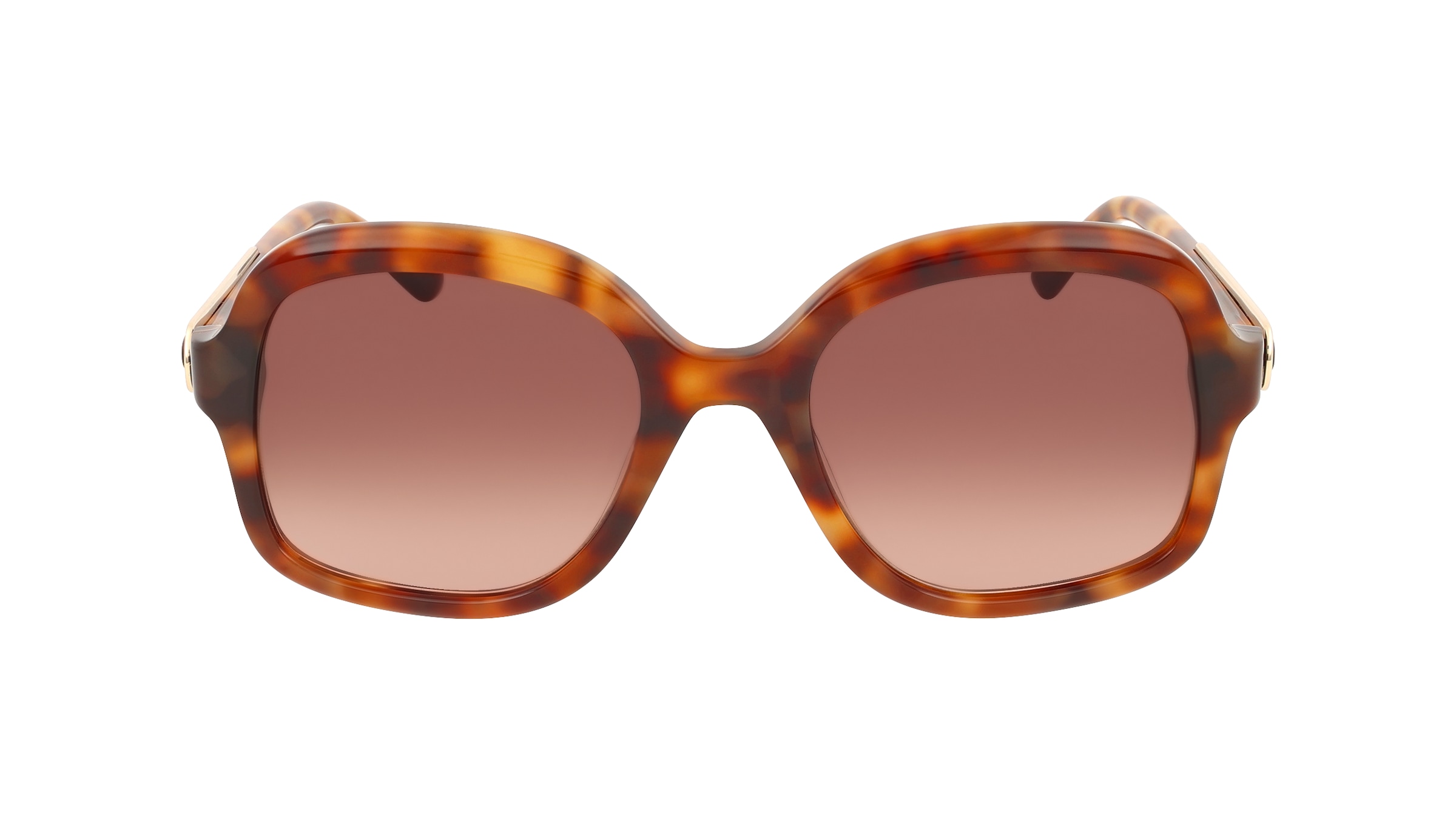 Sandro SA6074 Damen-Sonnenbrille Vollrand Quadratisch Acetat-Gestell, braun