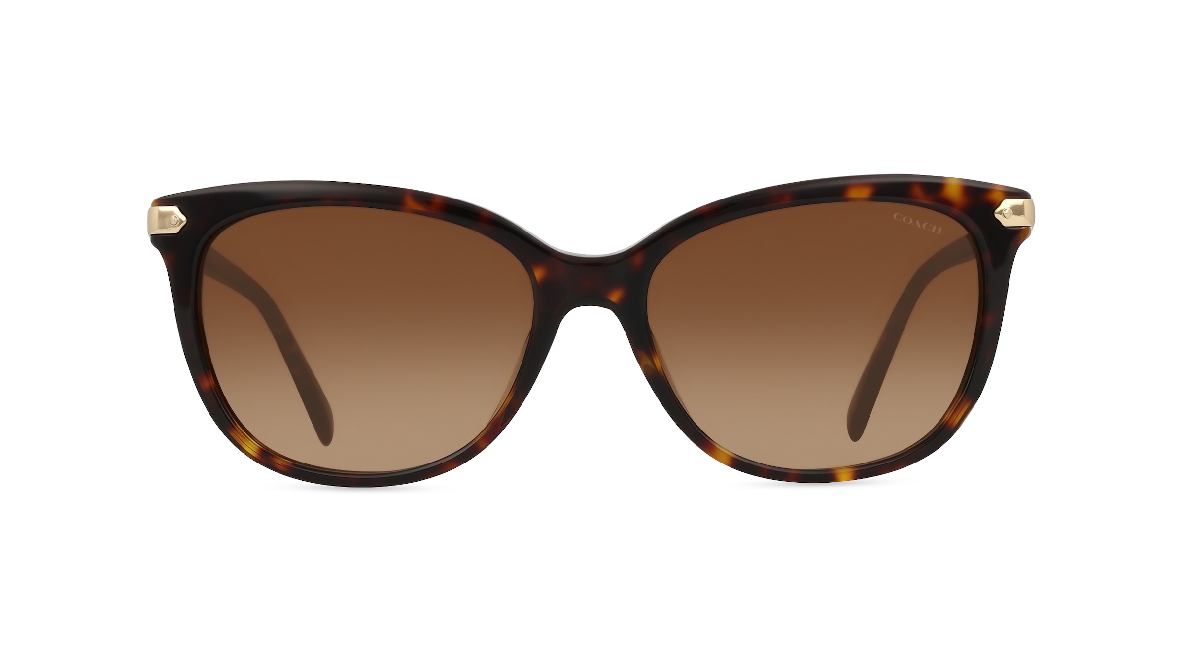 Coach HC8378U Damen-Sonnenbrille Vollrand Butterfly Acetat-Gestell, braun