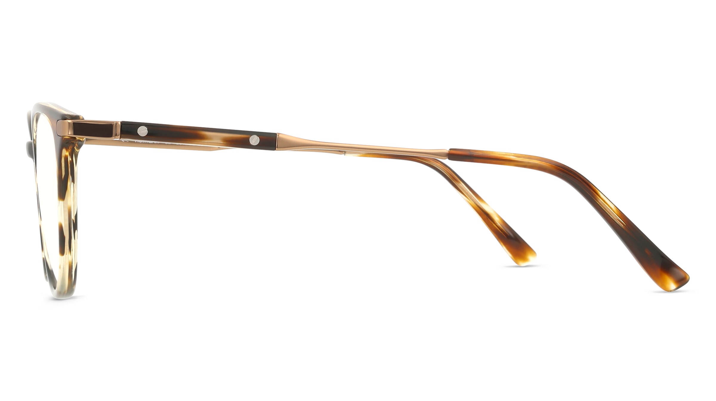 Thumbnail - Fielmann BD 423 MOD CL SCOTT Damen-Brille inkl. Gläser Vollrand Panto Acetat-Gestell 49/19/140, braun